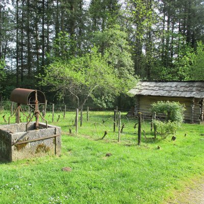 Borne-colonne N2 de la forêt de Chaux à Augerans